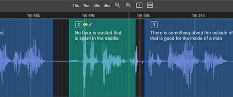 timeline of the subtitle editor, subtitles can be dragged Zoomable timeline showing subtitles